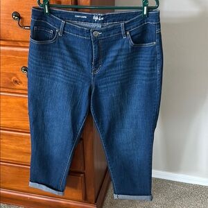 Style & Co. Women's Blue Jeans